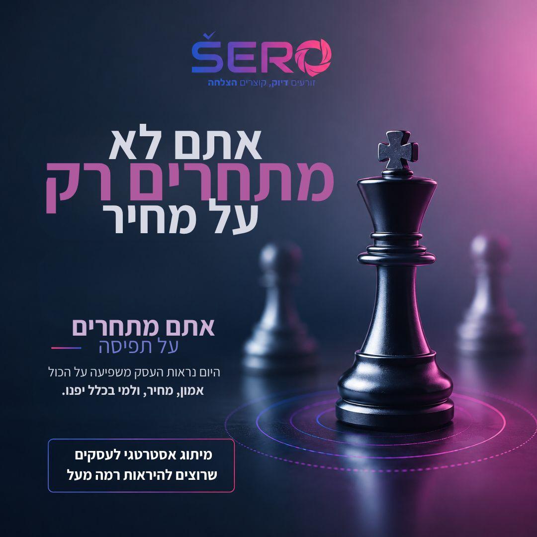 גרפיקה לדוגמא 1